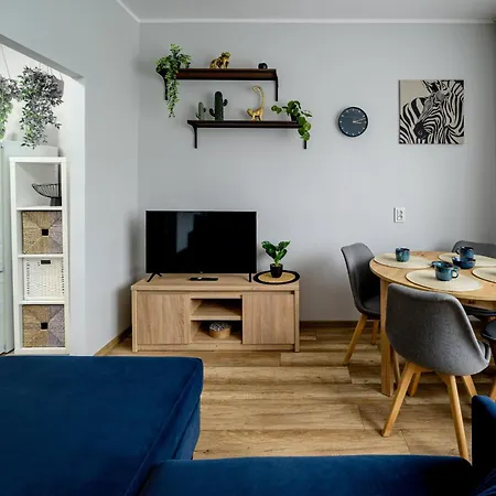 Rentplanet - Zdrowa *