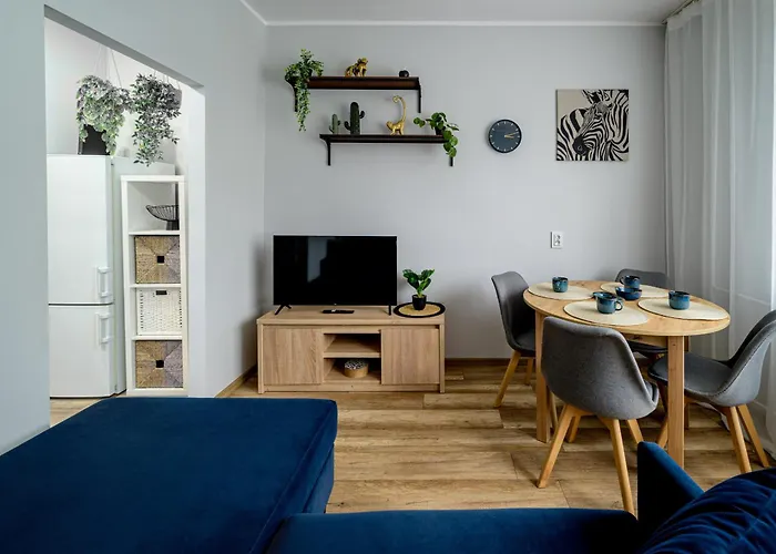 Rentplanet - Zdrowa *